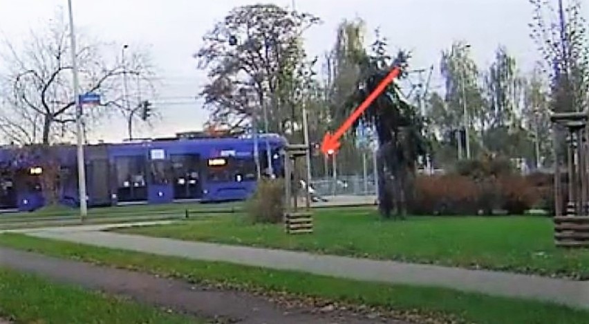 Na rolkach wjechała prosto pod tramwaj. Zobaczcie nagranie z Wrocławia (FILM)