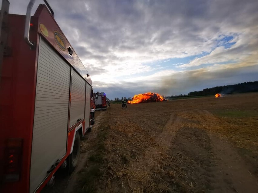 Finał sprawy serii pożarów w powiecie grodziskim. Tomasz F. usłyszał wyrok 