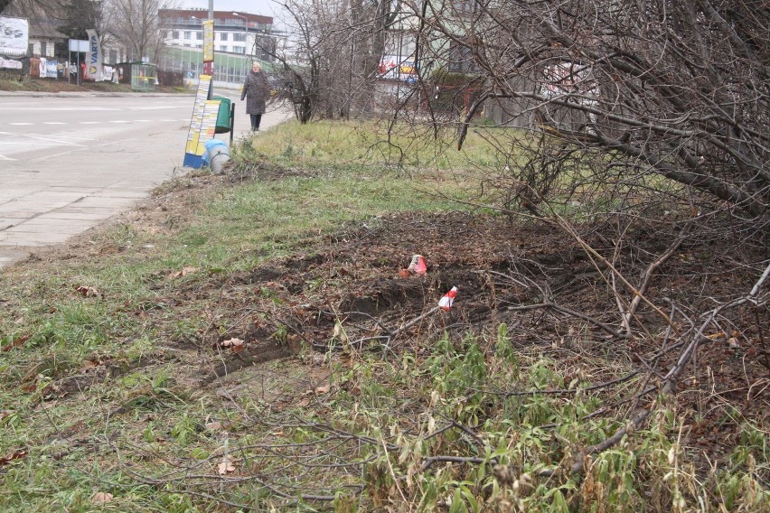 Miejski autobus miał w środowy poranek kolizję na ulicy...