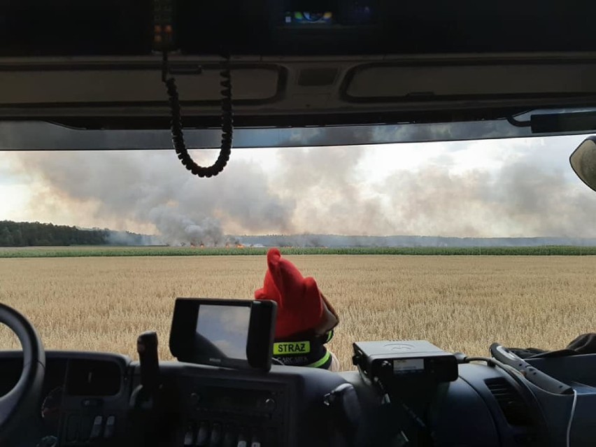 Ogień na polach w Korytnicy. To już trzeci pożar zboża dziś