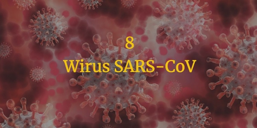 Wirus z rodziny koronawirusów. Został zidentyfikowany w 2003...