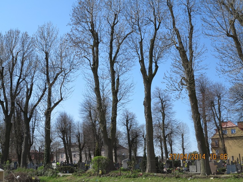 Cmentarz przy ul, Wejherowskiej (na zapleczu Komendy Policji)