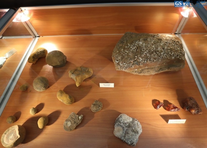 Nowa interaktywna sala Muzeum Geologicznego Uniwersytetu Szczecińskiego [wideo]