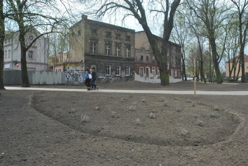 Powstaje nowy park przy Szkole Muzycznej w Lesznie. Ma służyć głównie uczniom [FOTO]