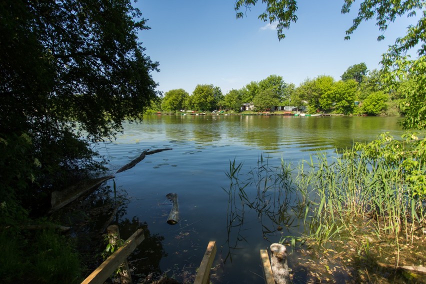 Jezioro Czerniakowskie to jedno z najpiękniejszych i...