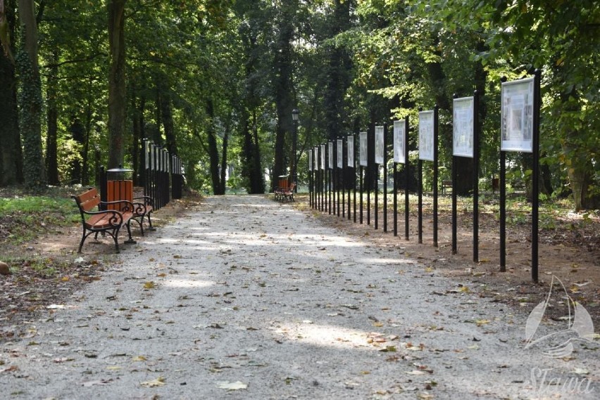 SŁAWA. Park Miejski w Sławie odzyskał dawny blask. Wielomiesięczna rewitalizacja dobiegła końca [ ZDJĘCIA]
