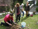 Szczyrk: nowy projekt proboszcza Jana Byrta to Drzewko Europy