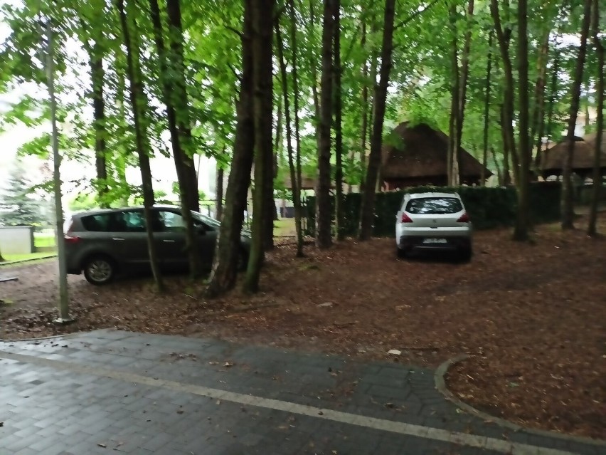 Dość parkowania samochodów w lesie komunalnym w Kielcach. 26 interwencji Straży Miejskiej. Zobacz zdjęcia
