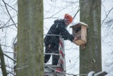W Gdańsku oczyszczono 1,3 tys. ptasich budek. Schronienia gotowe na wiosenny okres lęgowy