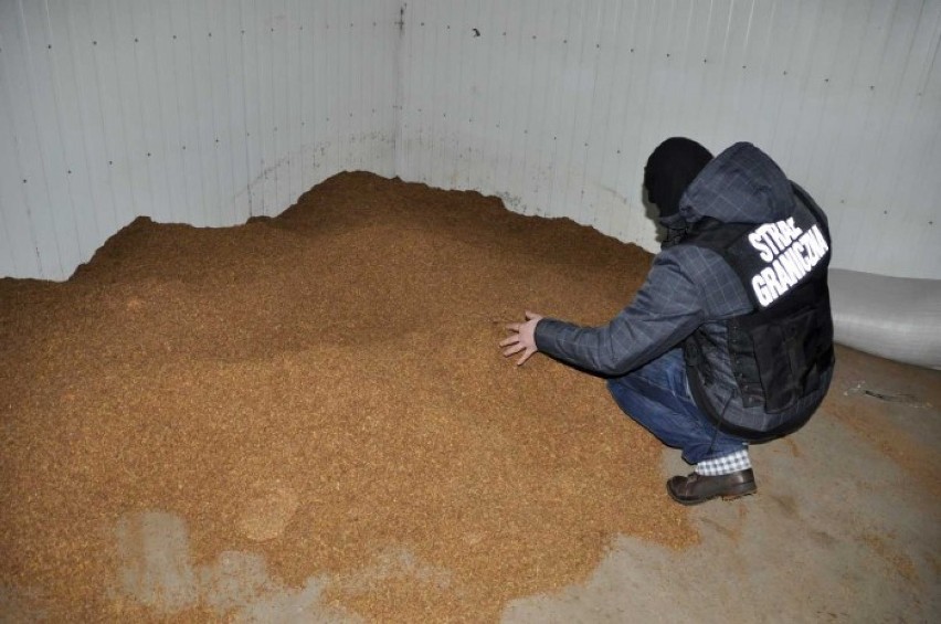 Kościerzyna: Ponad 8 ton suszu i krajanki tytoniowej w nielegalnej wytwórni [ZDJĘCIA, WIDEO]