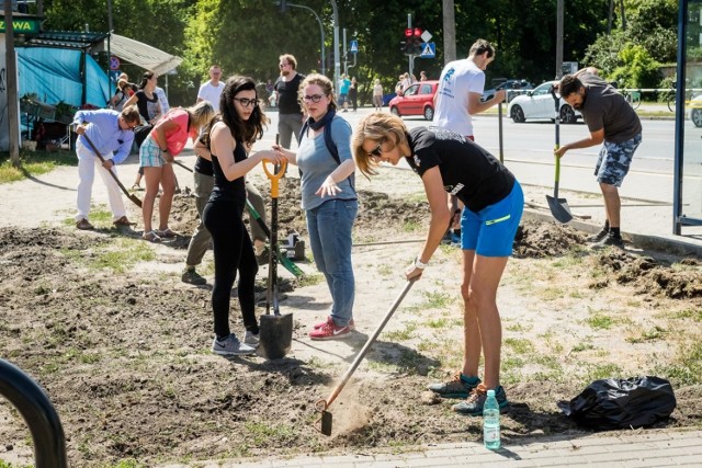 W Bydgoszczy powstaje pierwsza społeczna łąka kwietna. Wspólne sadzenie roślin odbyło się w sobotę, 29.06. 

Więcej zdjęć i informacji >>>

Rozpoczęła się największa inwestycja komunikacyjna w Bydoszczy. To rozbudowa ul. Kujawskiej. Co się zmieni? Zobacz:
