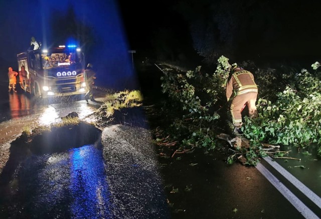 Duża część interwencji dotyczyła powalonych drzew. Siła wiatru, który towarzyszył burzom w regionie była ogromna.