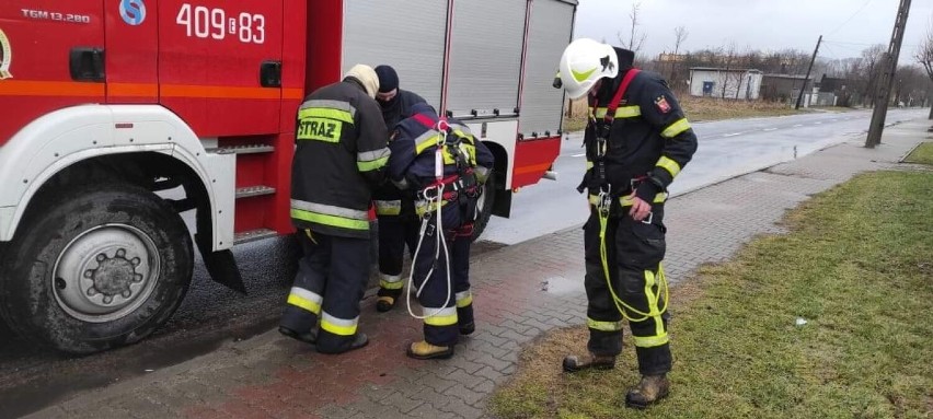 Strażacy i energetycy usuwają skutki wichur w powiecie...