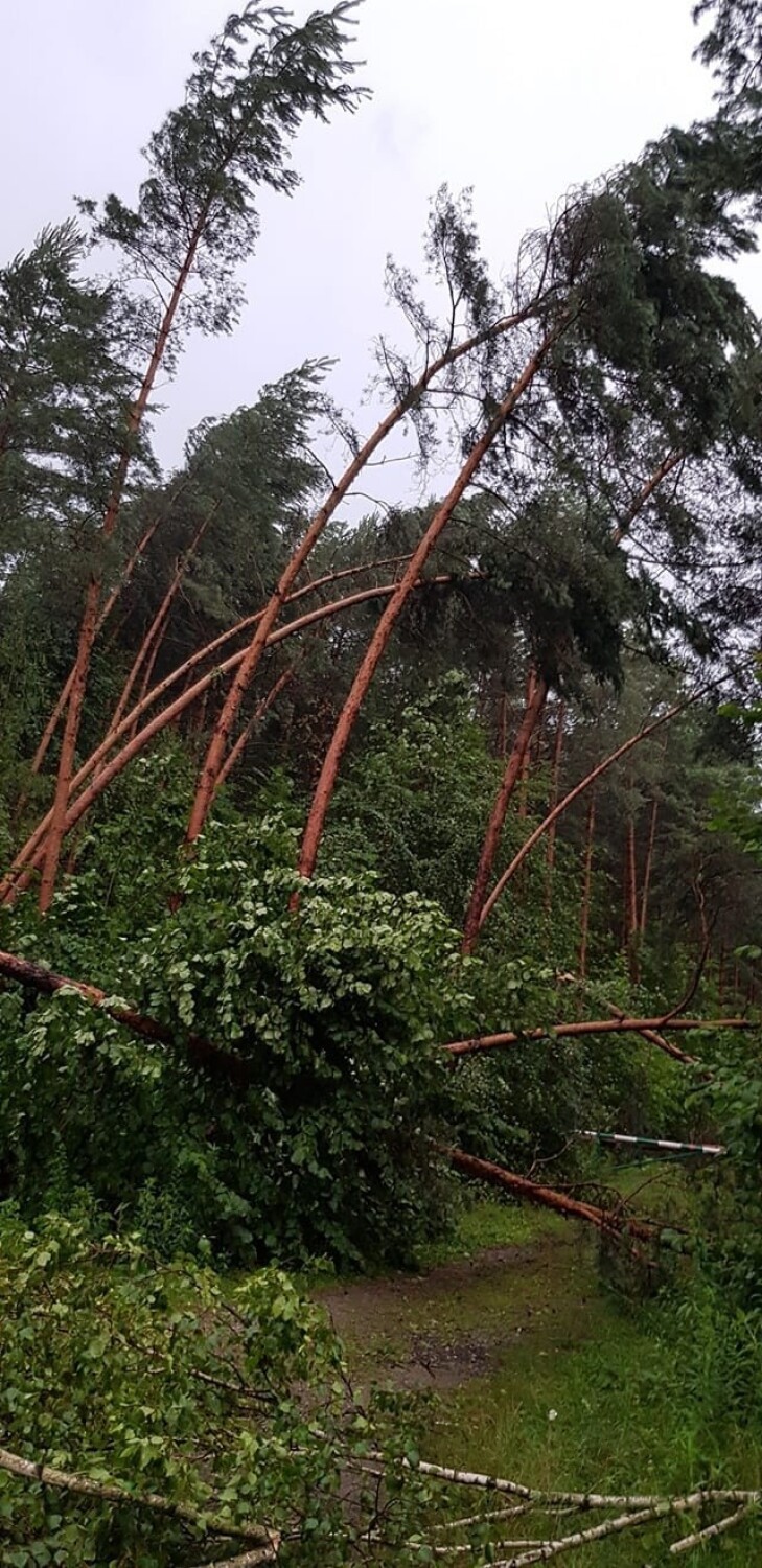 Potężna burza w woj. śląskim. Wiatr uszkodził dachy i powalił drzewa. Ewakuowano obóz harcerski