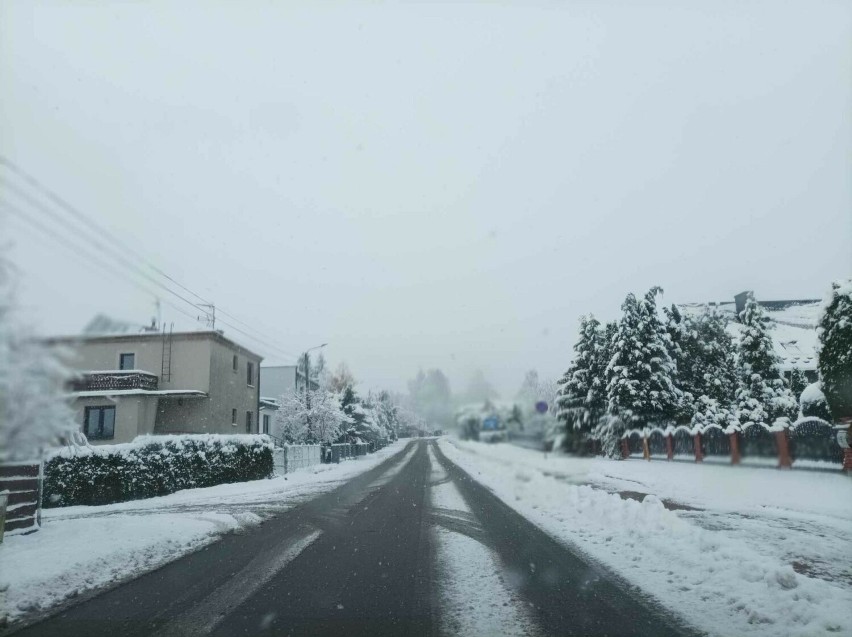 W tym roku zima dla drogowców jest bardzo uciążliwa. Codziennie trzeba usuwać śnieg z dróg i walczyć z gołoledzią