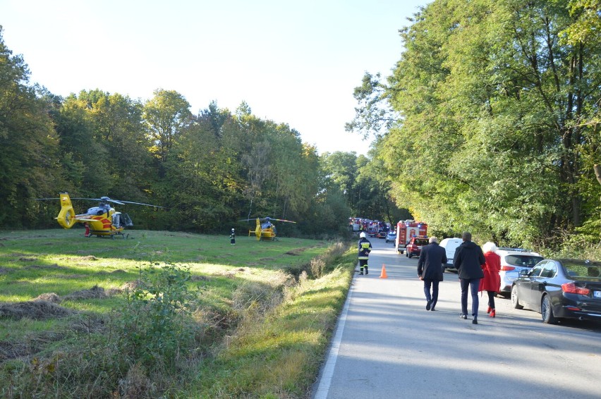 Wypadek w Ujeździe, jedna osoba zginęła, 14 zostało rannych,...