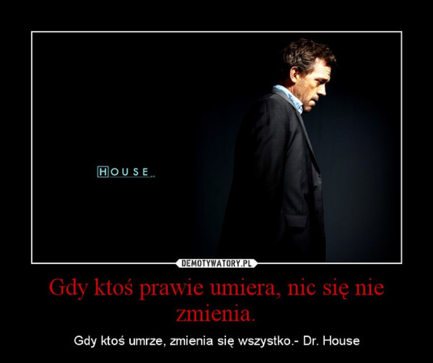 Hugh Laurie w Poznaniu: Przypominamy teksty z Dr. House'a