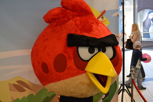 Angry Birds w Focus Mall Rybnik