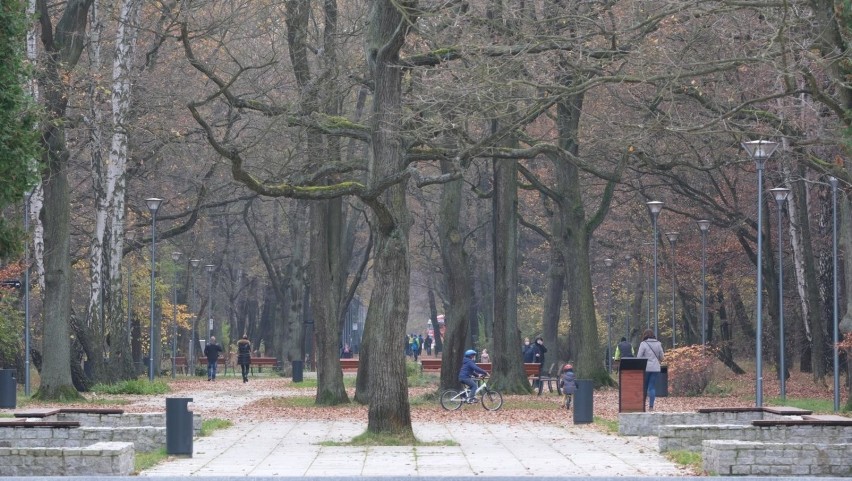 Park Zielona i Pogoria w Dąbrowie Górniczej