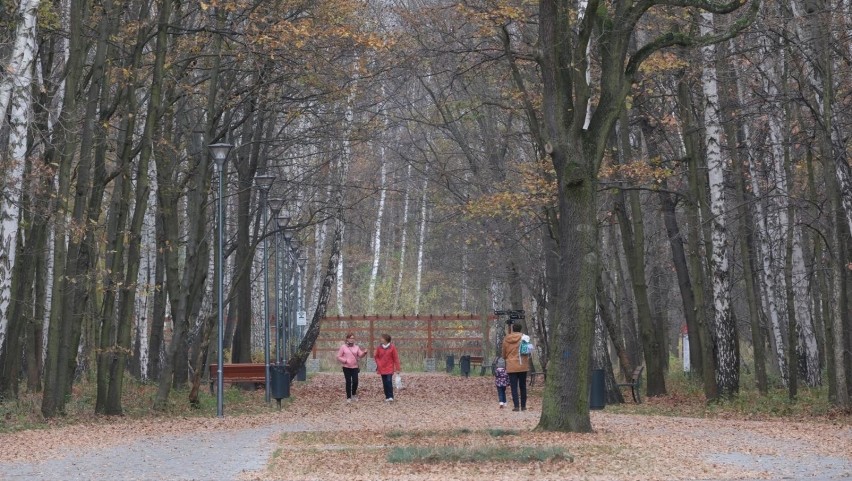 Park Zielona i Pogoria w Dąbrowie Górniczej