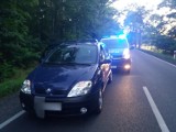 Pijani kierowcy złapani przez policjantów z Krosna Odrzańskiego i Gubina podczas minionego weekendu. Ilu wpadło?