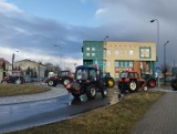Ogólnopolski rolniczy protest odbył się także w powiecie poddębickim. Ciągniki na drogach w Uniejowie i Poddębicach ZDJĘCIA