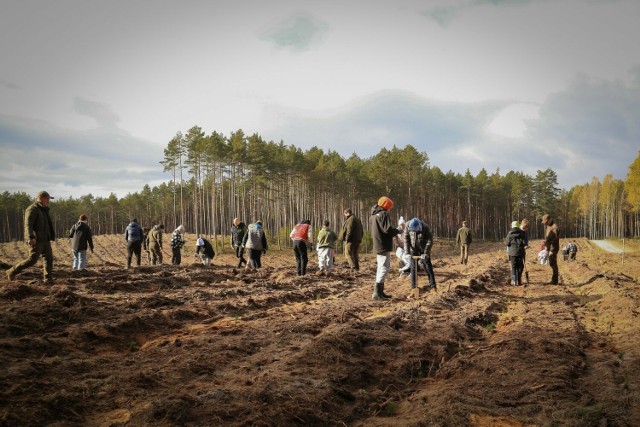 Dzięki akcji zorganizowanej przez Designer Outlet Gdańsk z Dotlenieni.org udało się posadzić 3500 drzew w Nadleśnictwie Lipusz. Zaangażowanie mieszkańców było ogromne.