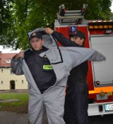 Bocian spadł w Kraszewie. Osy koło przedszkola na ulicy Reymonta