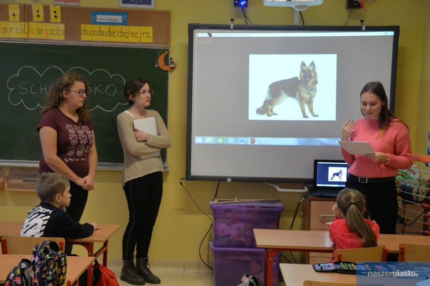 Studentki UMK uświadamiały we Włocławku młodych uczniów o obowiązkach wobec zwierząt  [zdjęcia, wideo]