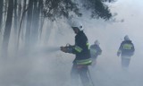 Susza w lasach w Wielkopolsce. Straż pożarna z Wągrowca apeluje o ostrożność 