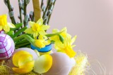 Wielkanocne rośliny to nie tylko bukszpan i bazie. Co symbolizują i jak je wykorzystać? Zobacz, co ozdobi dom na Wielkanoc