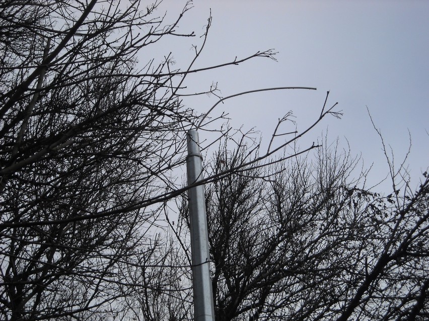 Rowerzyści będą jeździć po ciemku na Witosa. Ktoś ukradł lampy [ZDJĘCIA]