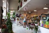 Mistrzowie Handlu 2017: w Bielsku-Białej jest niezwykła kwiaciarnia