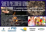 Święto pieczonego Dzika w Łukęcinie już 12 października