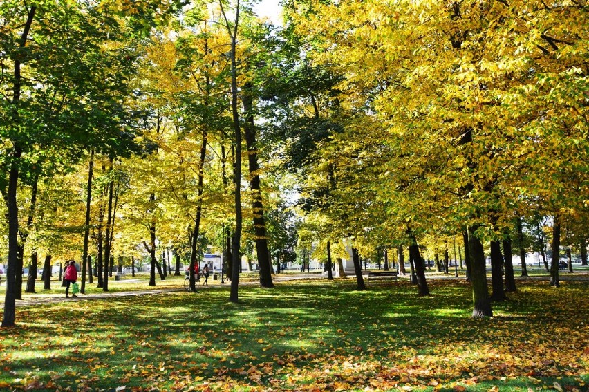 Złota jesień w Janowie Lubelskim i okolicach. Zobacz galerię zdjęć