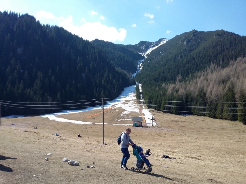 Tatry. Tłumy podziwiały krokusy na Kalatówkach [ZDJĘCIA]