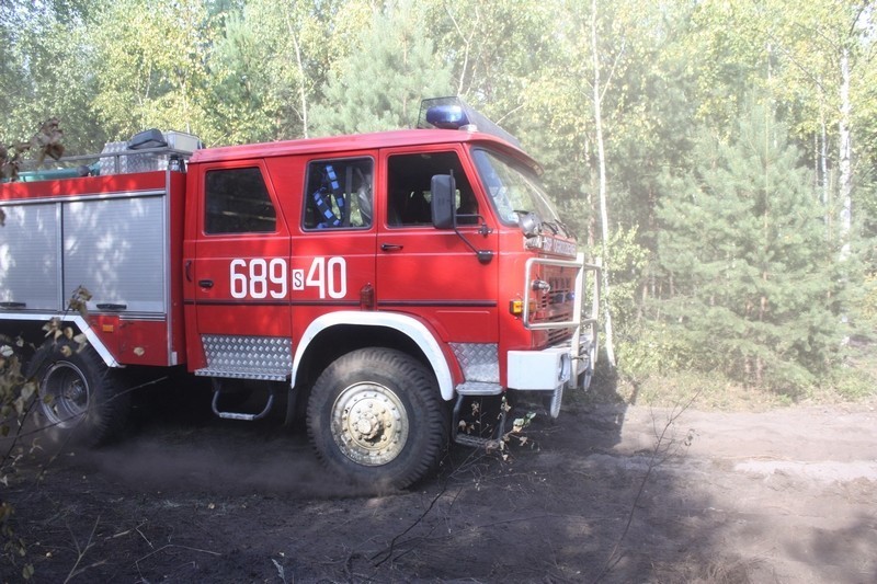 Pożar na Krępie w Ogrodzieńcu: Płonął las.