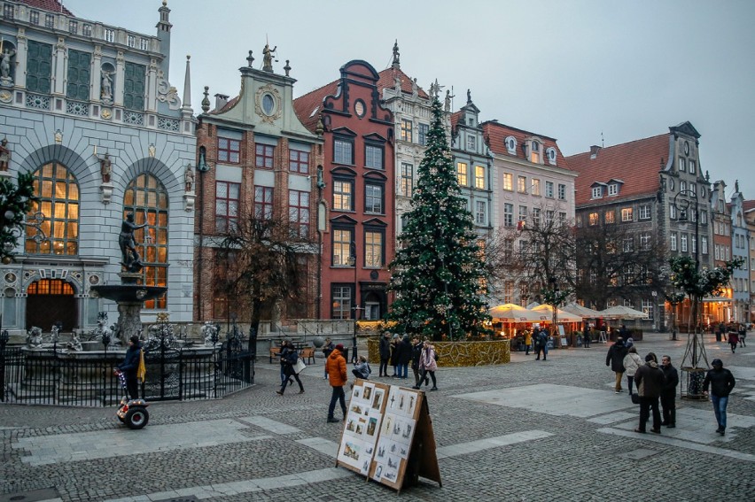 Gdańsk stroi się na święta! Na Długim Targu pojawiła się choinka [zdjęcia]