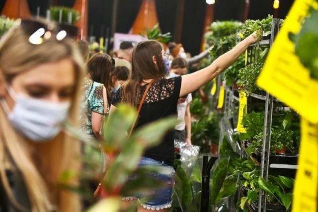 Festiwal Roślin