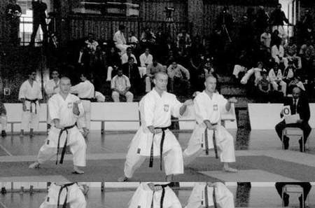 Polscy karatecy podczas mistrzostw Europy spisali się znakomicie.
