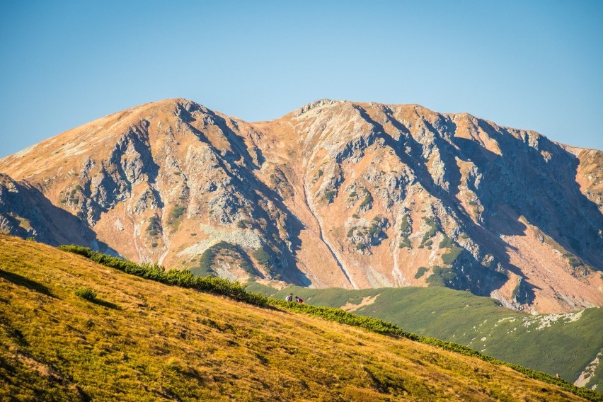 Tatry. Grześ, Rakoń, Wołowiec - górski klasyk na jesienne wycieczki. To tam najładniej widać piękne kolory Tatr