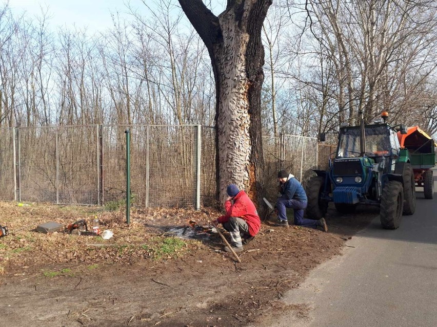 Ulica Brzozowa dzisiaj jest w części gruntowa. Rosną przy...