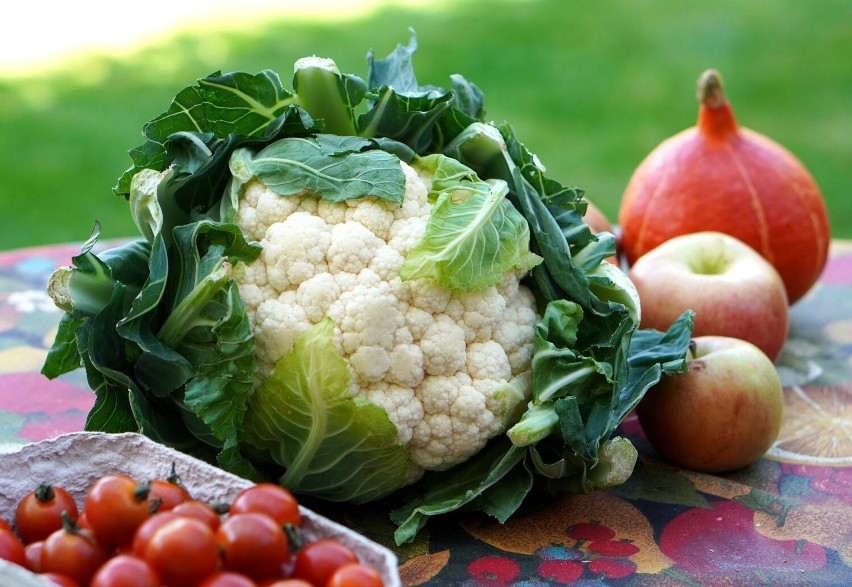 Kalafior to niskokaloryczne warzywo, które z powodzeniem...