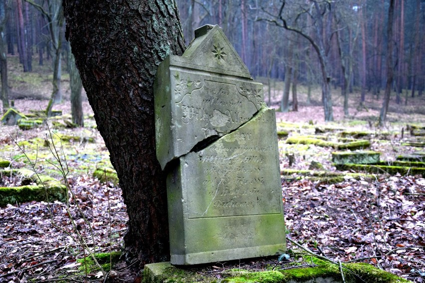 Cmentarz w Zielonej Górze Janach
