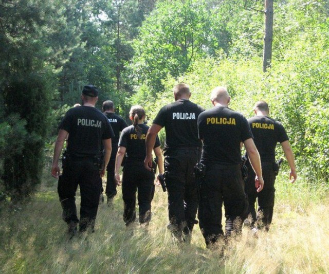 Kibole założyli plantację konopi, żeby sprzedawać marihuanę na Przystanku Woodstock