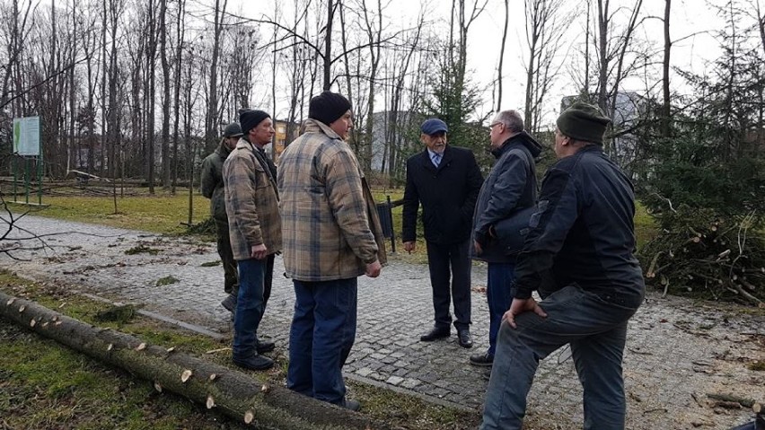 Tak wyglądał Park Miejski tuż po wichurze.