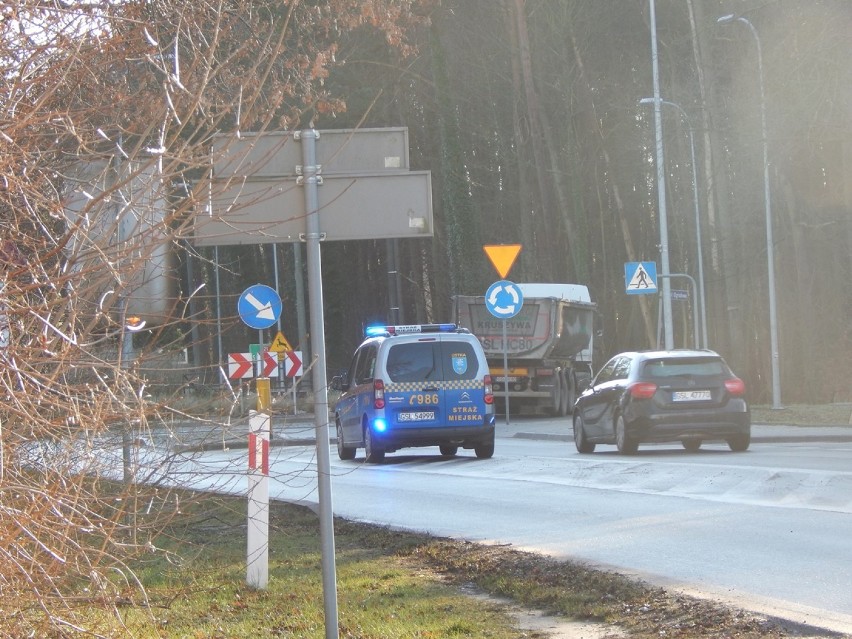 Wycinka drzew i utrudnienia drogowe przy ulicy Słupskiej w Ustce