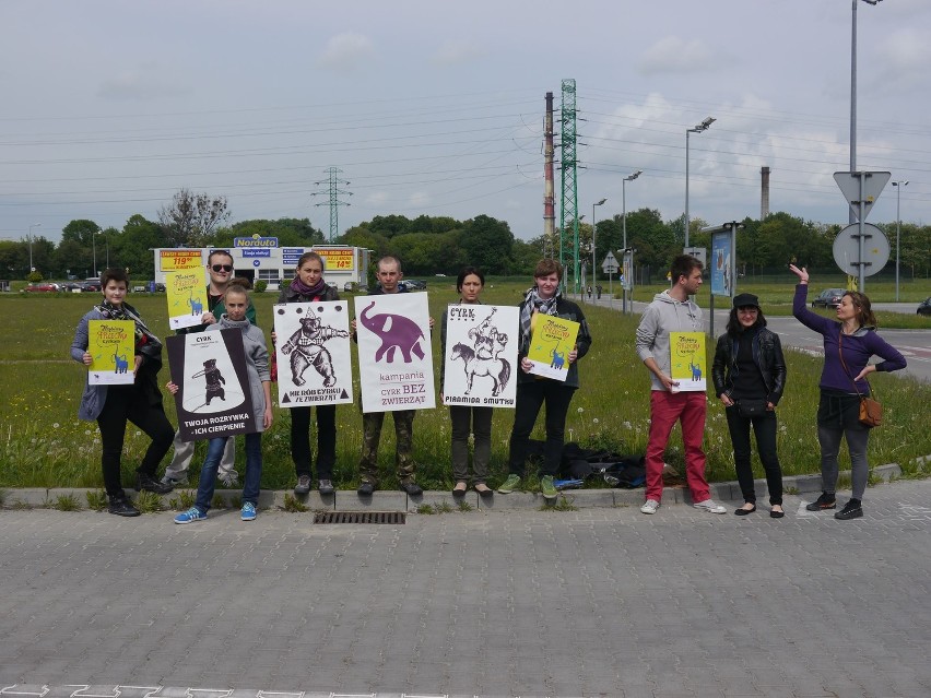 Protest przeciw tresurze zwierząt w cyrku w Gliwicach...