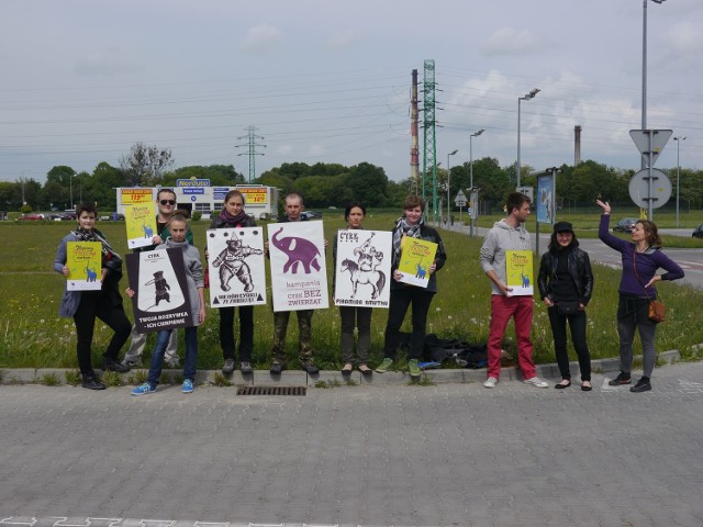 Protest przeciw tresurze zwierząt w cyrku w Gliwicach przebiegał pokojowo. Jego organizatorzy liczą na walor edukacyjny swojej akcji.
