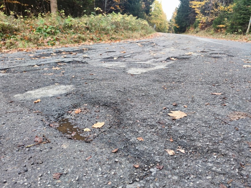 Za inwestycję zapłaci miasto Duszniki-Zdrój, a także Lasy...